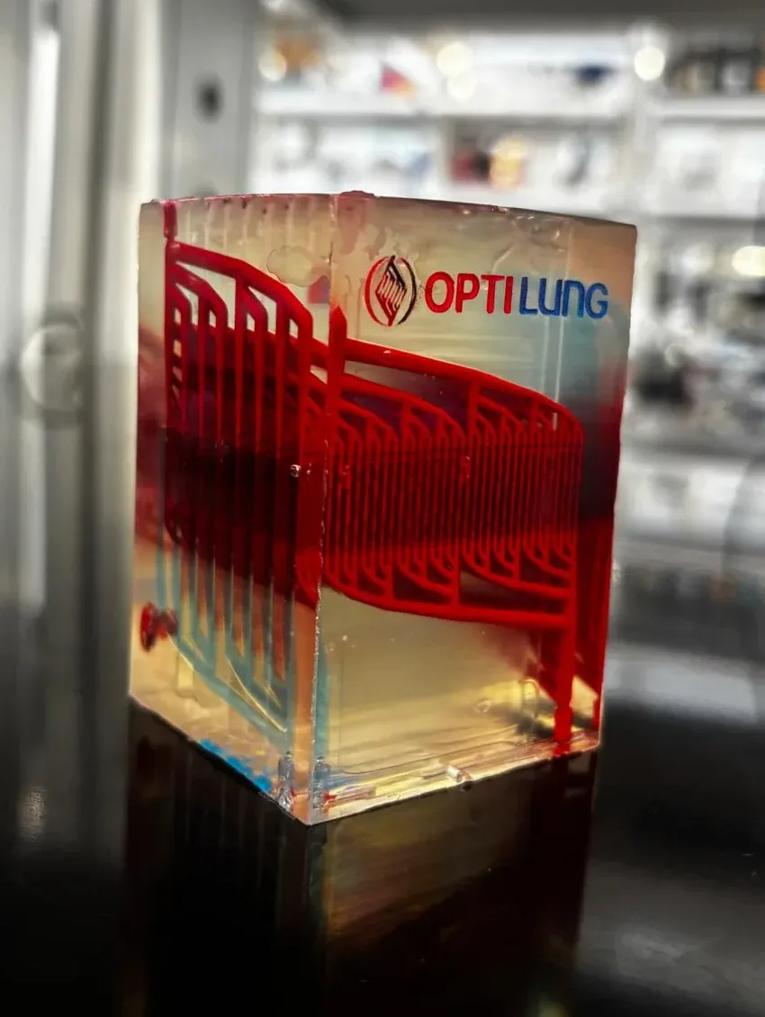 Physical OptiLung prototype: a clear resin oxygenator with its branching blood path dyed red.